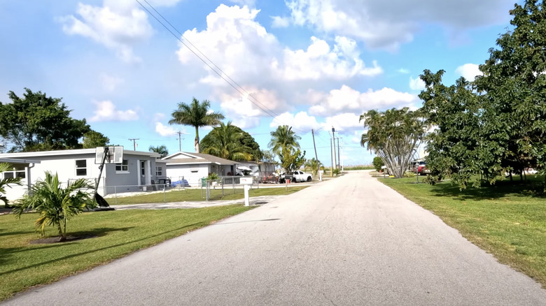 Sunny palm tree-lined street in South Bay City, Florida