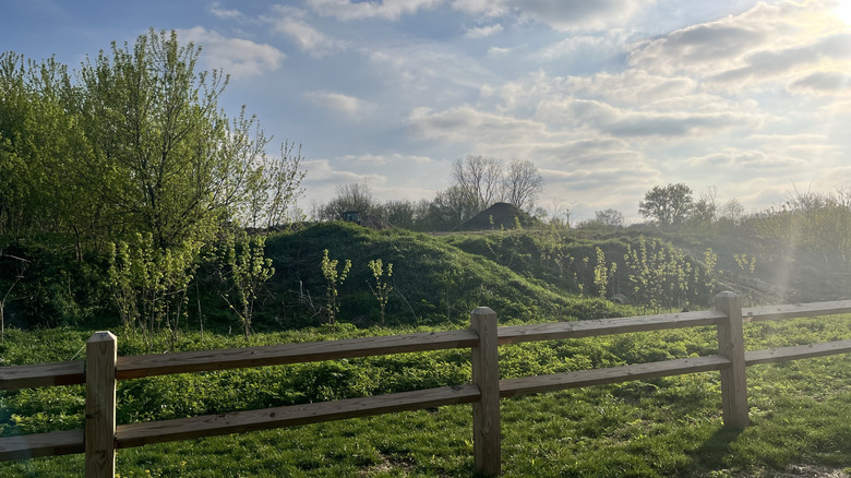A photo of a rustic wooden fence with rolling green hills and a beautiful cloud-dotted blue sky behind it