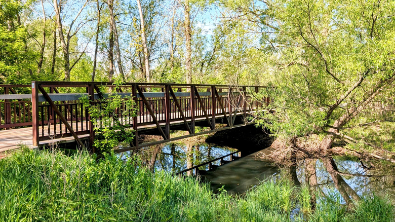 A wooden bridge crossing over a creek in the historic Celery Flats in Portage, Michigan
