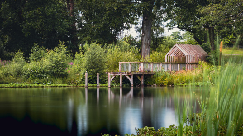 Wooden structure and dock on calm lake in Larbert, Scotland