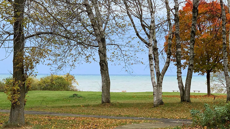 Forest park landscape overlooking a lake in Newton, Wisconsin