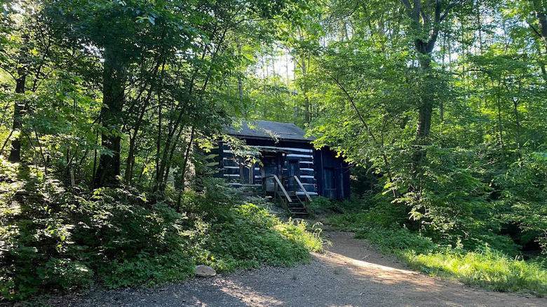 The Draper Cabin surrounded by green vegetation at Morgan-Monroe State Forest, Indiana