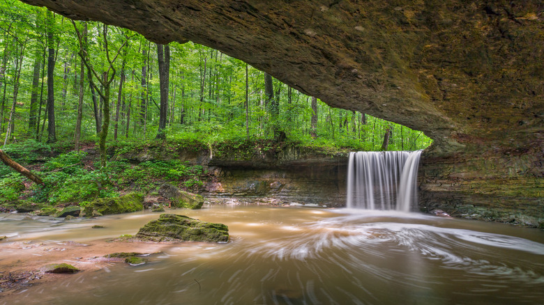 North Vernon's Rock Rest Falls flowing over a cliff and into a natural woodland amphitheater created by a large expanse of overhanging rock