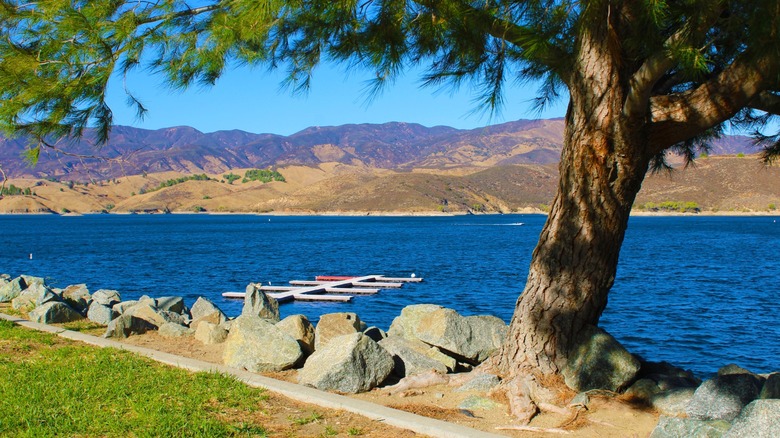 Castaic Lake shore and mountains in the distance