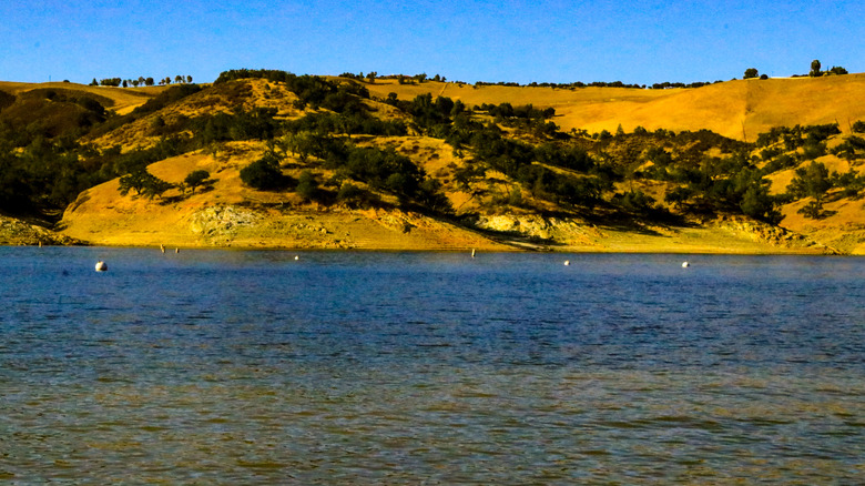 a balmy summer day at lake nacimiento