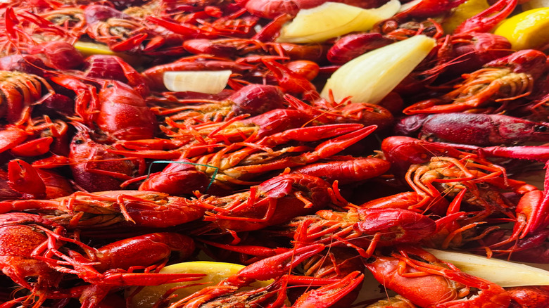 Close-up of Louisiana-style crawfish boil