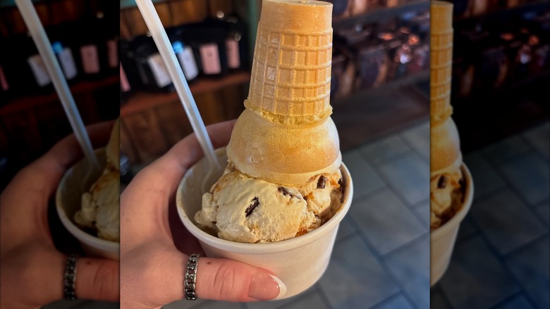 Ice cream from The Proving Grounds Coffee and Ice Cream in Milford, Michigan
