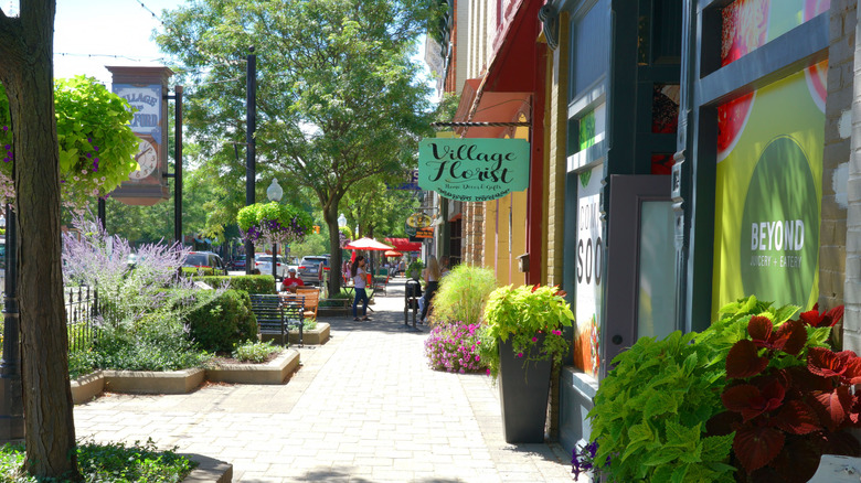 A tree-lined street with lots of greenery in Milford, Michigan