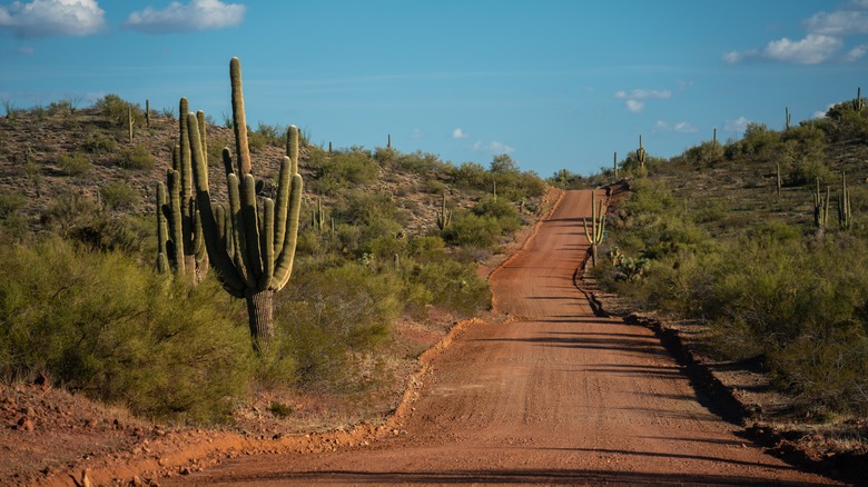 Dirt road in Mohave County, Arizona