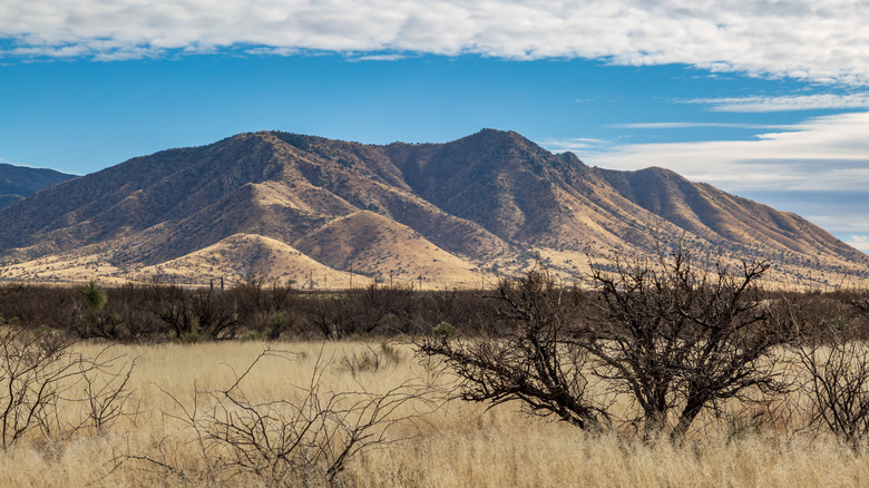 A barren Arizona desert view
