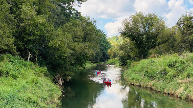 Kayakers easing down the Kickapoo River with trees and green banks on both sides