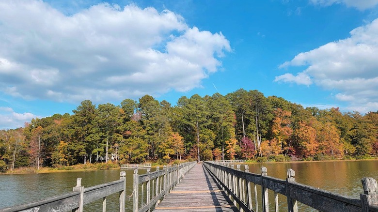 trees and water in Whitten Park, Fulton, Mississippi