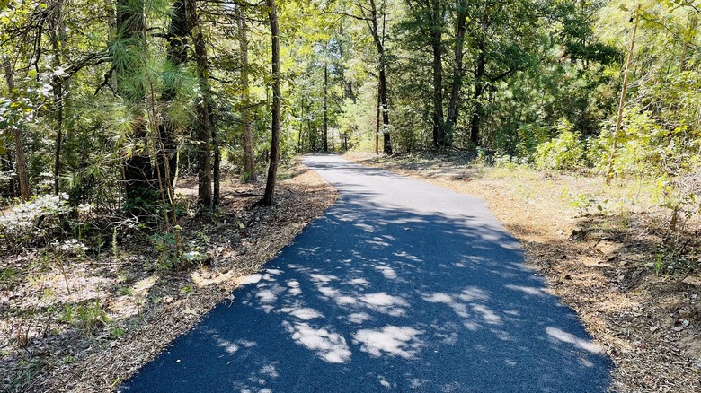 Outdoor walking path in Henderson, Tennessee during the day with trees lining walkway.