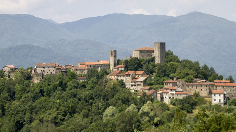 An aerial view of Borgo Val di Taro