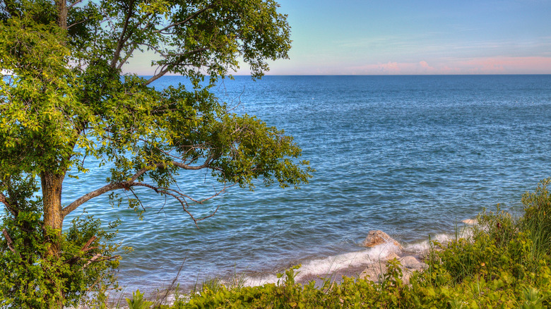 A view of Illinois Beach State Park