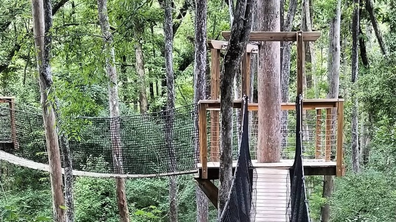 The canopy walk at Lynches River County Park