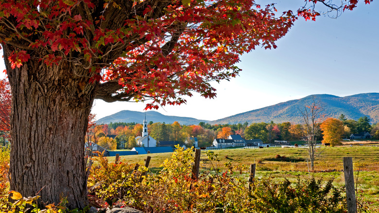 A tree with fall colors in the foreground and Tamworth Village, New Hampshire in the background