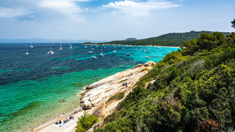 A beach in Porquerolles, Hyeres.