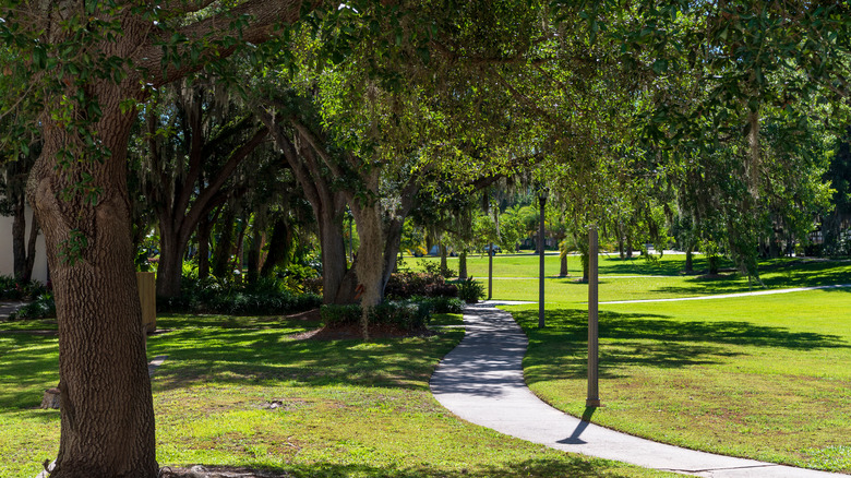 The gardens of St. Leo's Abbey