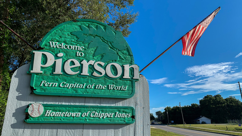 A green welcome sign reads Welcome to Pierson Fern Capital of the World