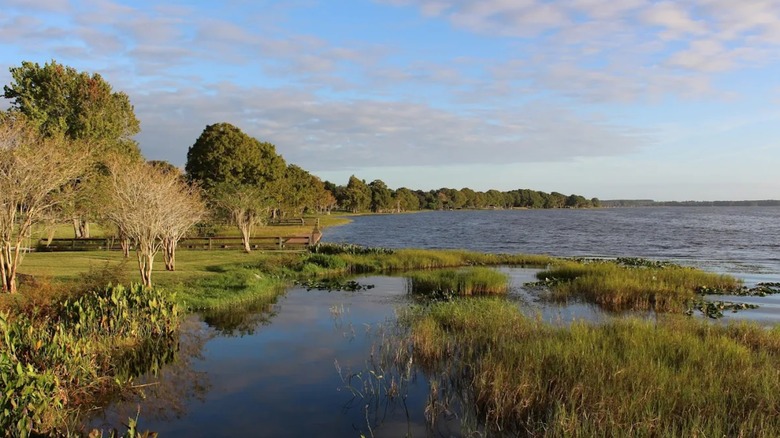 View of Little Lake Harris from Howey-in-the-Hills' Griffin Park