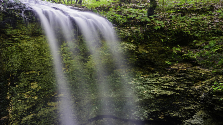 Waterfall at Falling Waters State Park surrounded by trees