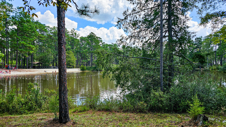 Falling Waters State Park in Florida