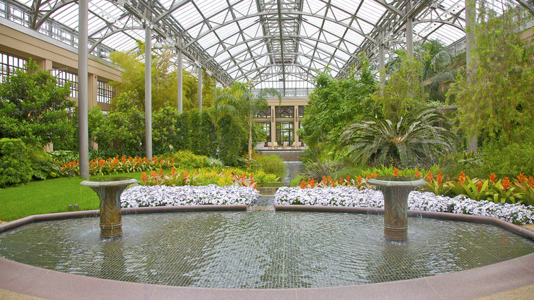 Inside the conservatory at Longwood Gardens