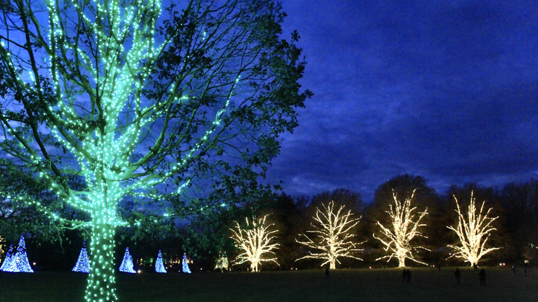 Illuminated gardens at the Christmas event at Longwood Gardens