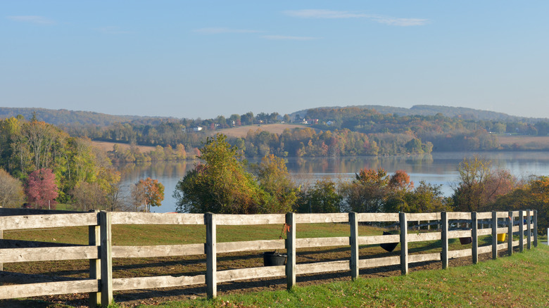 Marsh Creek Lake in the sun near Downingtown Pennsylvania
