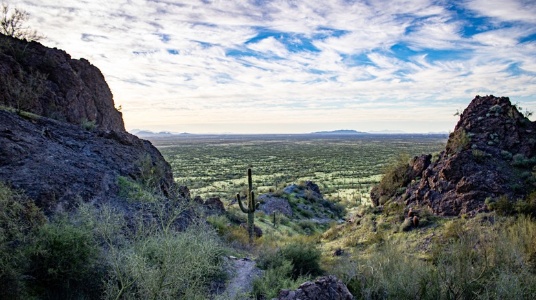 Picacho Peak State Park in Eloy