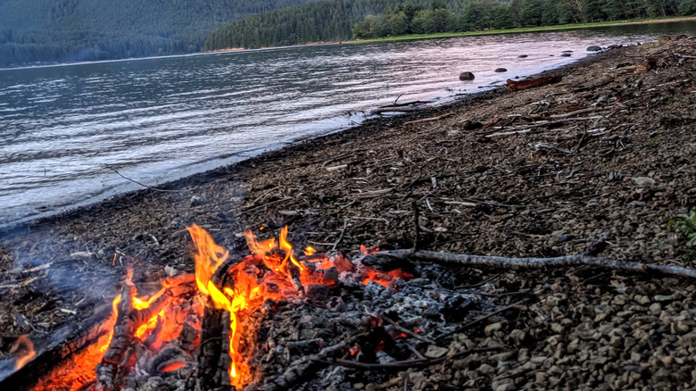 Campfire crackles on banks of Detroit Lake