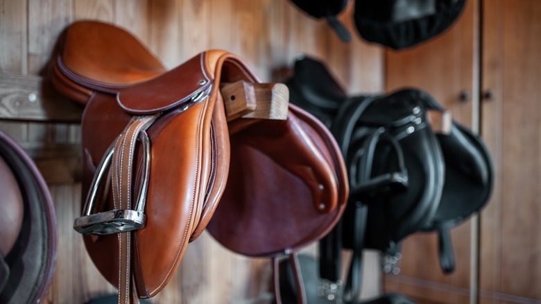 leather saddles hanging in a barn