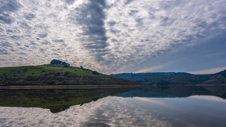 Water view from Nicasio Reservoir with hills, trees, and clouds seen in the background.