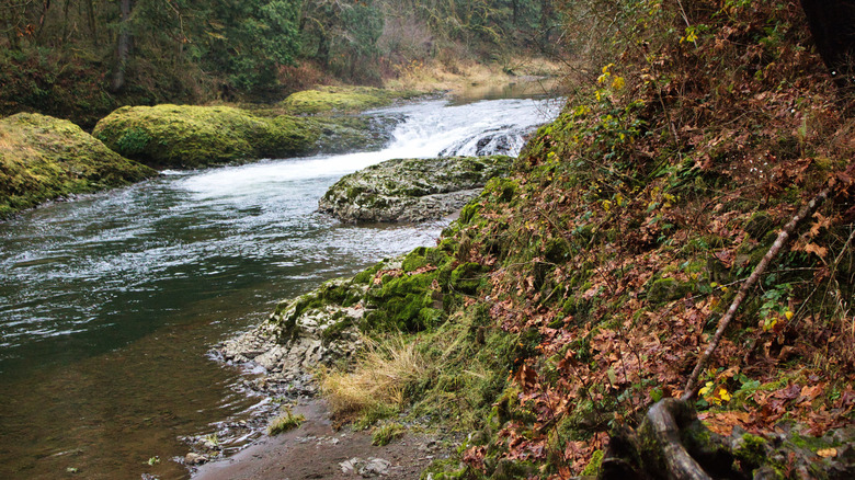 Rainbow Falls on the Chehalis River, Washington