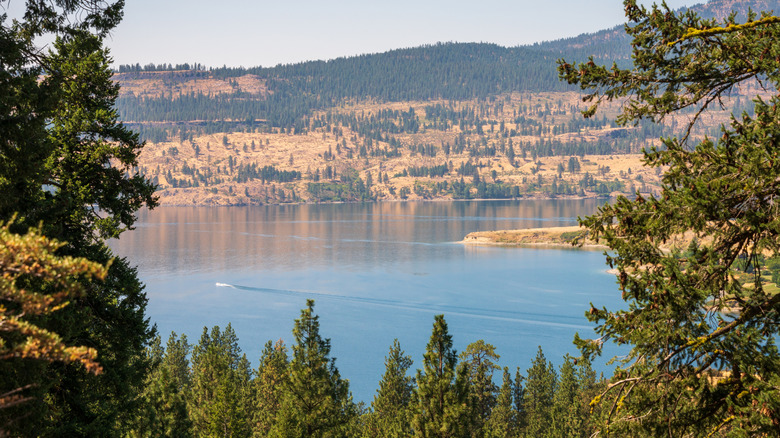 Lake Roosevelt Washington framed by fir trees