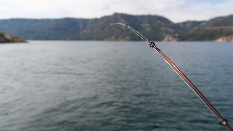 Fishing rod on Roosevelt Lake Washington