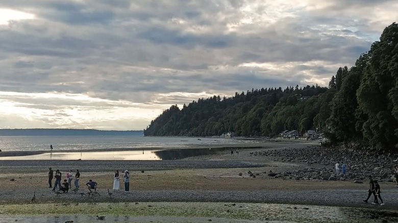 View of Puget Sound from Washington's Des Moines Beach Park