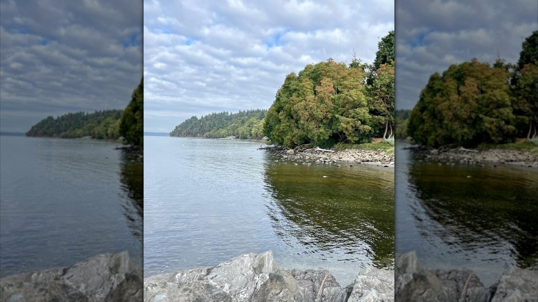 Waterfront views at Washington's Des Moines Beach Park