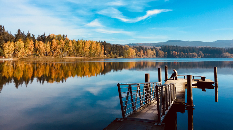 dock at lake padden park in fall