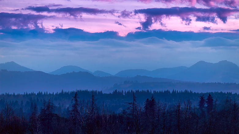 Cascade Mountains and forests during the evening near Sudden Valley in Washington state