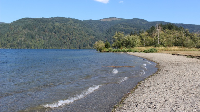 Shore of Lake Whatcom in Sudden Valley, Washington during the day
