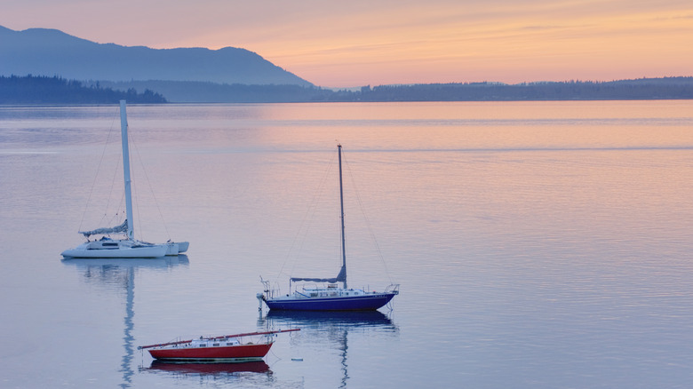 Sailboats on Bellingham Bay in Washington State during sunset.