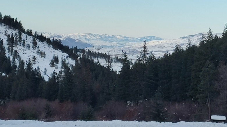 Winter in Squilchuck State Park, snow on ground, pine trees with long view of Cascade Mountains