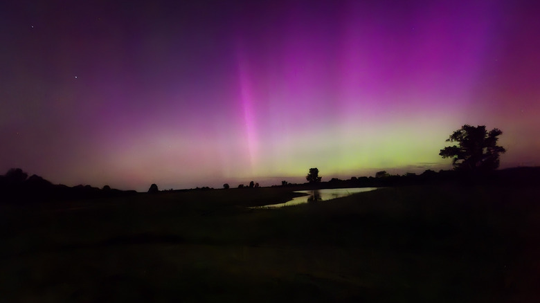 Night sky lit up over Whetstone Creek Conservation Area