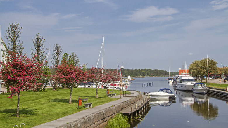 Trees and boats by the marina in Åmål