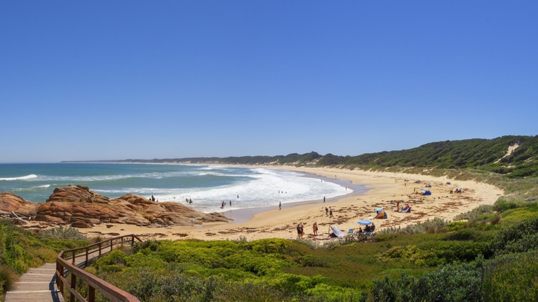 Stunning beach at Cape Conran Coastal Park