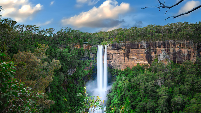Fitzroy Falls, a 260-foot drop waterfall, plunges over the sandstone escarpments of Morton National Park