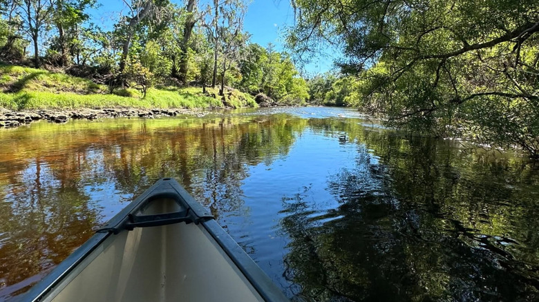 Canoe in Peace River in Wauchula, Florida