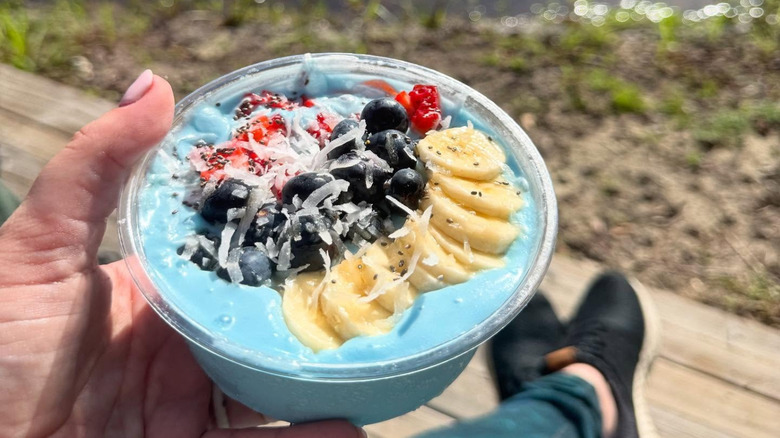 Hand holding an acai bowl at Peace River Park in Wauchula, Florida